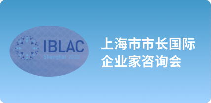 上海市市长国际企业家咨询会